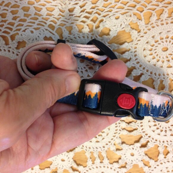 Dog Collar, NWOT, small - Picture 2 of 5